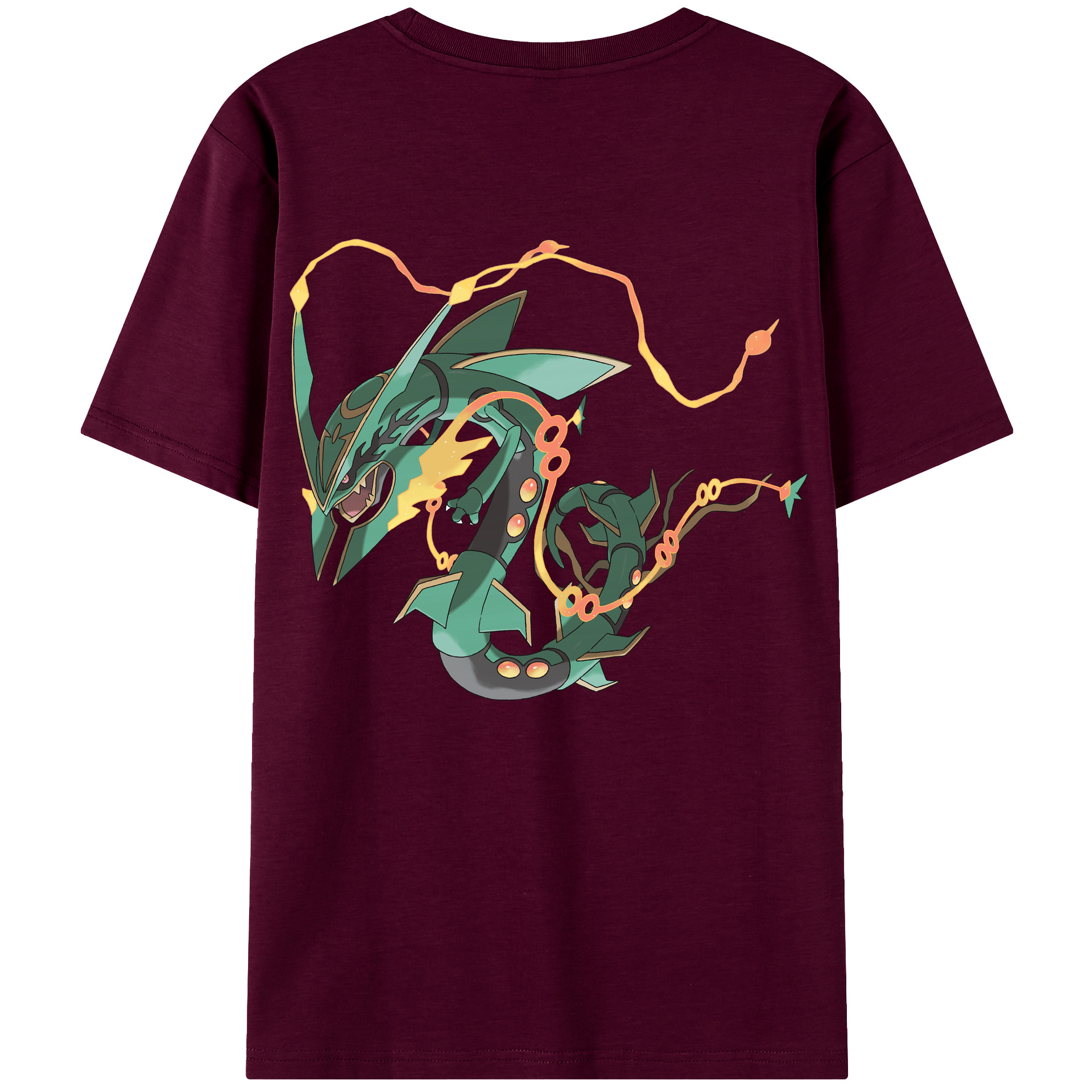 （画像用） ポケットモンスター Pokémon レディース半袖Tシャツ(バックプリント)